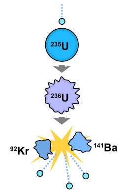 An induced nuclear fission event. A slow-moving neutron is absorbed by the nucleus of a uranium-235 atom, which in turn splits into fast-moving lighter elements (fission products) and free neutrons.