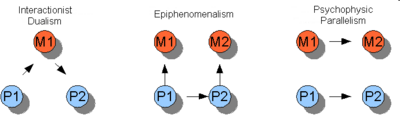 Three varieties of dualism. The arrows indicate the direction of the causal interactions. Property dualism is not shown.