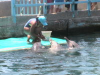 Santa Marta aquarium.