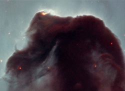 In 2001, to celebrate the 11th anniversary of the launch of Hubble, NASA polled internet users to find out what they would most like Hubble to observe, and they overwhelmingly selected the Horsehead Nebula [2].