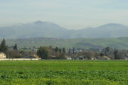 Mount Hamilton range in January, with morning fog clearing away.