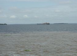 The Amazon near Manaus