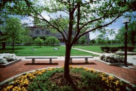 The Mall at The Catholic University of America with the Basilica of the National Shrine of the Immaculate Conception in the background.