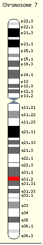 The location of the CFTR gene on chromosome 7