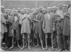 Prisoners of Ebensee, one of the sub-camps of Mauthausen-Gusen, after liberation by the US 80th Infantry Division