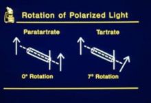 Pasteur's experiment proved paratartrate does not rotate polarized light while tartrate does.