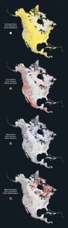 Sedimentary, volcanic, plutonic, metamorphic rock types of North America. 