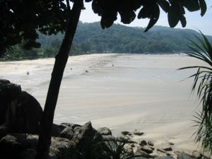 Maximum recession of tsunami waters at Kata Noi Beach, Thailand, before the third, and strongest, tsunami wave (sea visible in the right corner, the beach is at the extreme left), 10:25 a.m. local time.