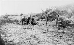 A wounded man of the Newfoundland Regiment is brought in at Beaumont Hamel