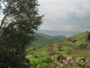 Landscape in the Golan Heights