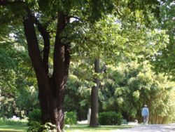 Botanical Garden of the University of Vienna