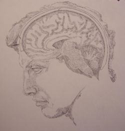 A sketch of the human brain by artist Priyan Weerappuli, imposed upon his sketch of the profile of Michaelangelo's David