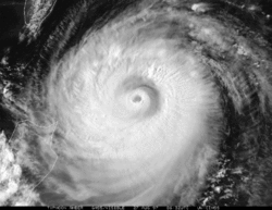 A satellite photo of Typhoon Amber of the 1997 Pacific typhoon season, exhibiting an outer and inner eyewall while undergoing an eyewall replacement cycle.