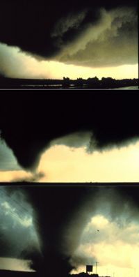 A sequence of images showing the birth of a tornado.  First, the rotating cloud base lowers.  This lowering becomes a funnel, which continues descending while winds build near the surface, kicking up dust and other debris.  Finally, the visible funnel extends to the ground, and the tornado begins causing major damage.  This tornado, near Dimmitt, Texas, was one of the most well-observed violent tornadoes in history.