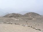 Caral, the oldest known urban settlement in the Western Hemisphere.