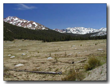 Looking south from Tioga Pass at Dana Meadows.