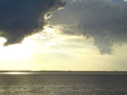 Amazon River at dawn