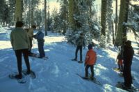 A ranger-guided snowshoe walk in the park