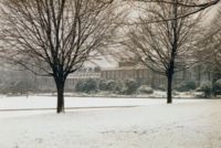 Kensington Gardens in Winter.