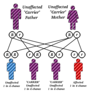 CF is inherited in an autosomal recessive fashion.