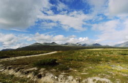 Rondane