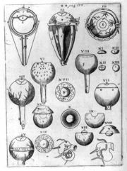 A plate from Astronomiae Pars Optica, illustrating the structure of eyes.