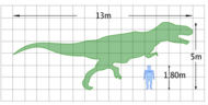 The size of Tyrannosaurus, compared with a 1.8�m (approx.�6�ft) human