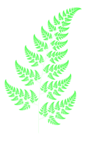 A fractal fern computed using an Iterated function system