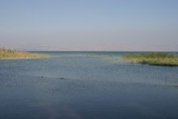 The Sea of Galilee