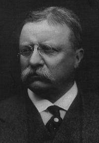 Theodore Roosevelt