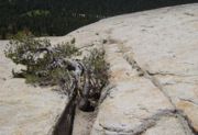 Joint plane on Lembert Dome