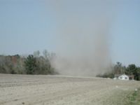 Dust devil in Johnsonville, South Carolina