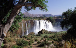 The Blue Nile Falls fed by Lake Tana near the city of Bahar Dar, Ethiopia forms the upstream of the Blue Nile. It is also known as Tis Issat Falls after the name of the nearby village. 