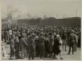 "Selection" on the Judenrampe, May/June 1944. To be sent to the right meant assignment to a work detail; to the left, the gas chambers. Vrba worked on this ramp as part of the Aufräumungskommando, who sorted through the new arrivals' belongings. This image shows the arrival of Hungarian Jews from Carpatho-Ruthenia, many of them from the Berehov ghetto; the image was taken by Ernst Hofmann or Bernhard Walter of the SS. Courtesy of Yad Vashem. [2] 