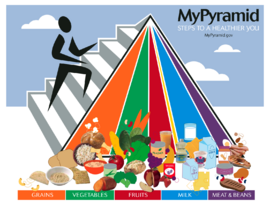 The updated USDA food pyramid, published in 2005, is a general nutrition guide for recommended food consumption.