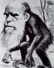 A satirical image of Charles Darwin as an ape from 1871 reflects part of the social controversy over whether humans and apes share a common lineage.