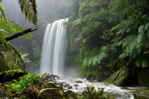 A more steady-state view of nature: Hopetoun Falls, Victoria, Australia. Much attention has been given to preserving the flora and other natural characteristics of the view, while allowing ample access for visitors to this much-visited site.