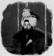 Sultan Mahmud II's actions were the catalyst for the Bosnian autonomy movement.