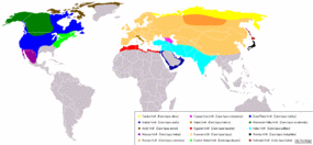 Original distribution of gray wolves by subspecies.