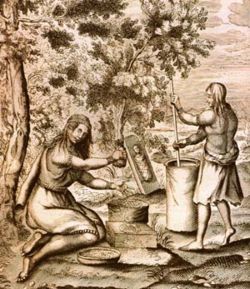 Iroquois women at work grinding corn or dried berries (1664 engraving).