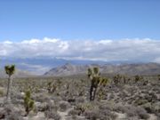 Typical desert scene in the Las Vegas area.