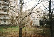 Abandoned living blocks of Pripyat, with a surviving tree