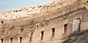 Plants on the inner walls of the Colosseum