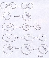 The basic orientable 2-brane interactions