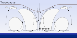 Tropical cyclones form when the energy released by the condensation of moisture in rising air causes a positive feedback loop over warm ocean waters.