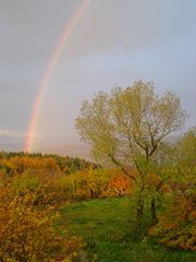 Autumn in Bratislava, Slovakia.