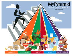 USDA Food Pyramid