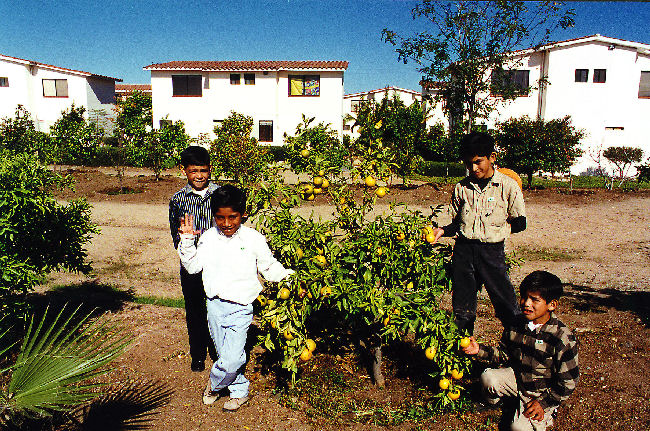 Sponsor a child Tijuana