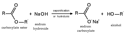 Basic hydrolysis of an ester