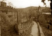 Castle ruins at Durnstein